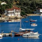 Pelion, Magnesia, Thessaly, Greece