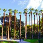 National Garden, Athens, Attica, Greece