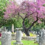 Ancient Olympia, Ilia, Peloponnese, Greece