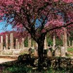 Ancient Olympia, Ilia, Peloponnese, Greece
