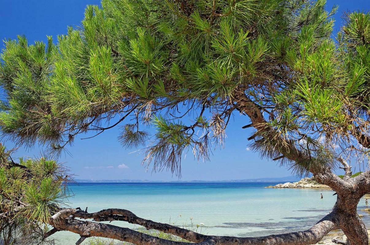 Halkidiki, Macedonia, Greece