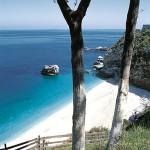 Pelion, Magnesia, Thessaly, Greece