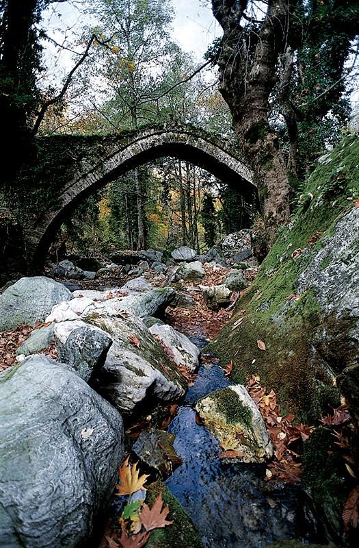 Pelion, Magnesia, Thessaly, Greece