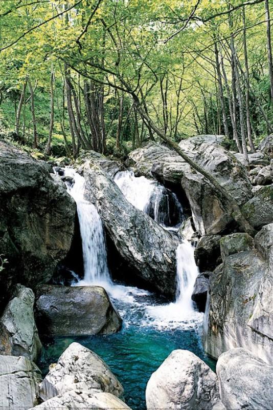 Pelion, Magnesia, Thessaly, Greece