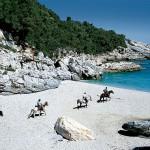 Pelion, Magnesia, Thessaly, Greece