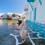 Mykonos, Cyclades, Greece
