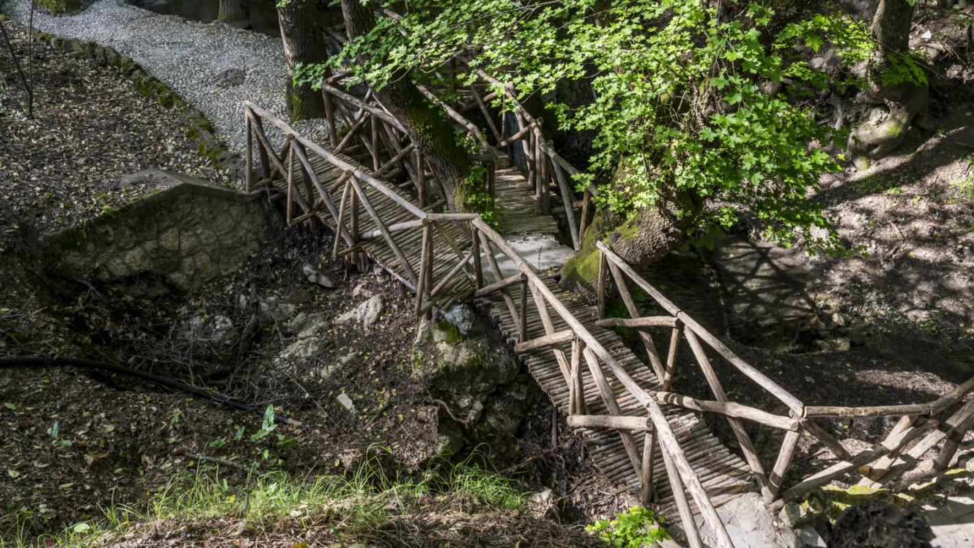 Valley of the Butterflies, Rhodes, Dodecanese, Greece