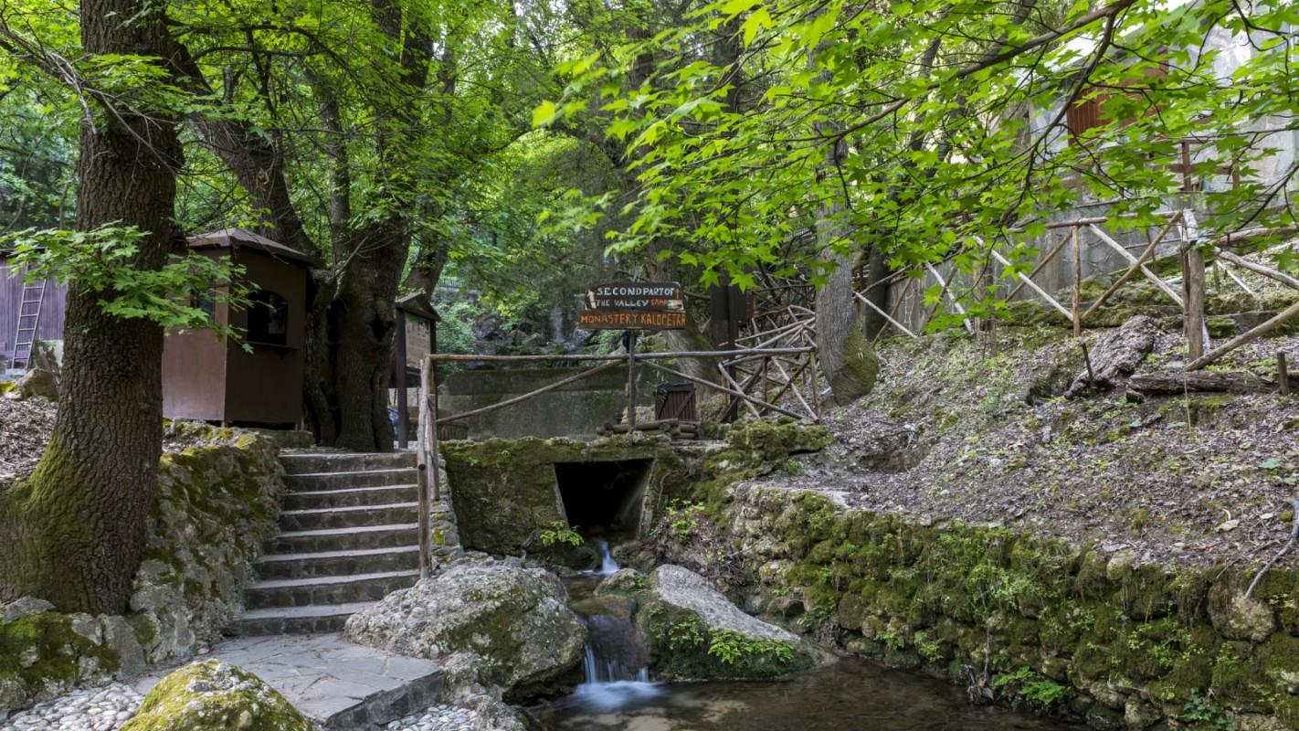 Valley of the Butterflies, Rhodes, Dodecanese, Greece