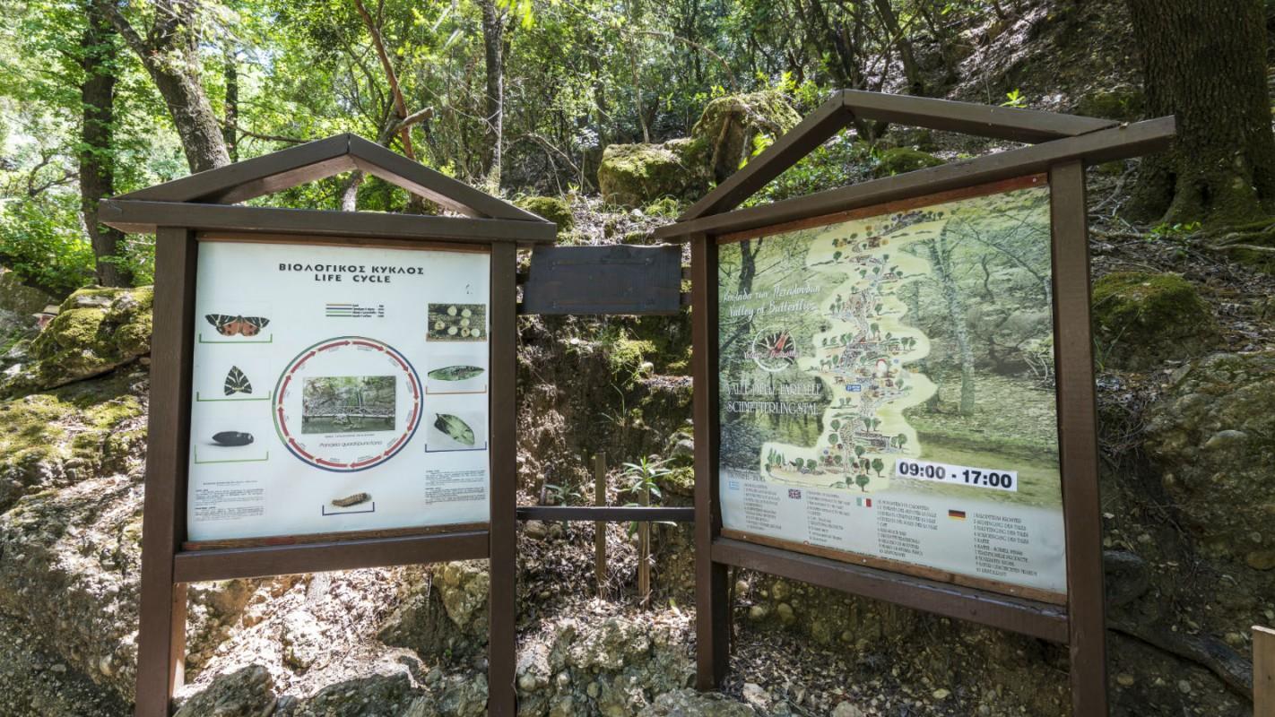 Valley of the Butterflies, Rhodes, Dodecanese, Greece