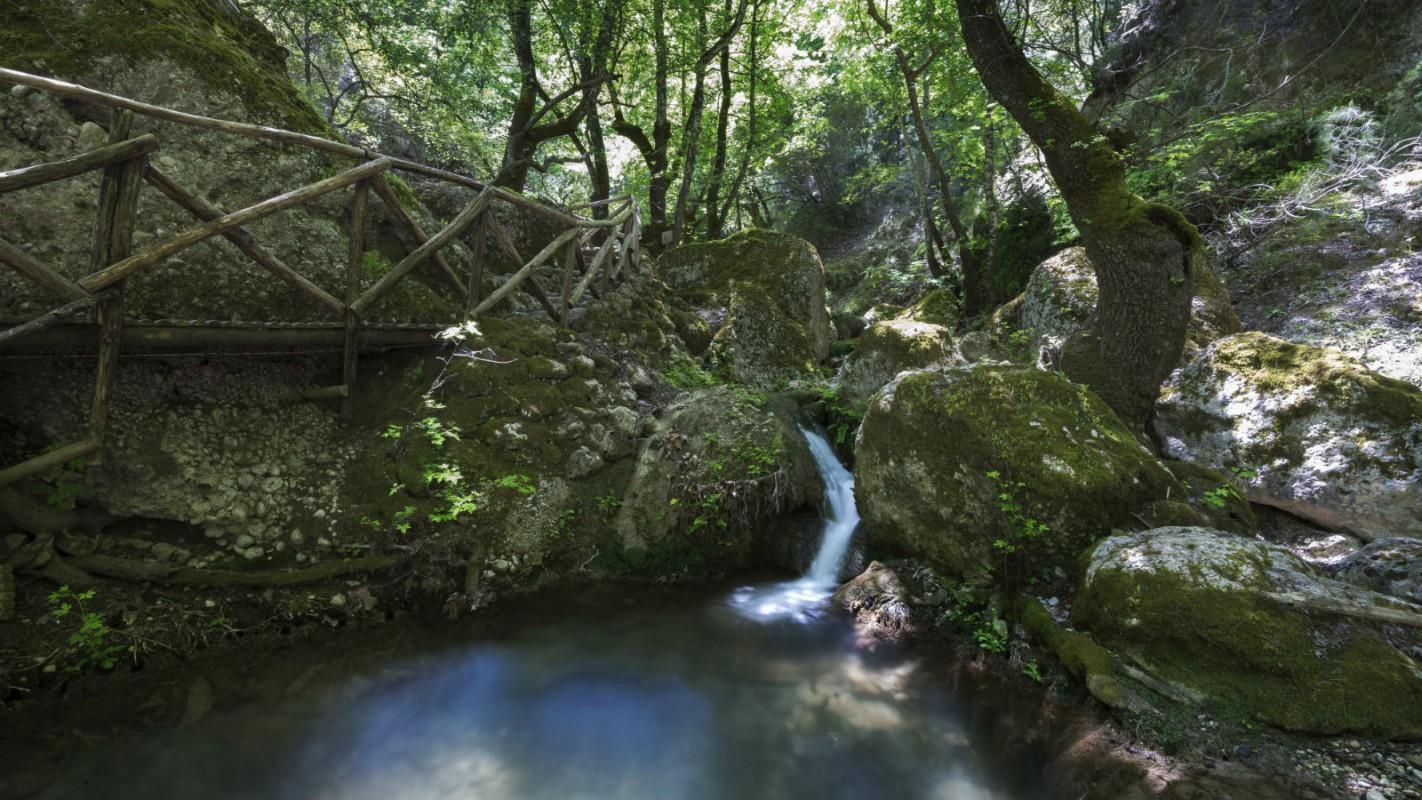 Valley of the Butterflies, Rhodes, Dodecanese, Greece