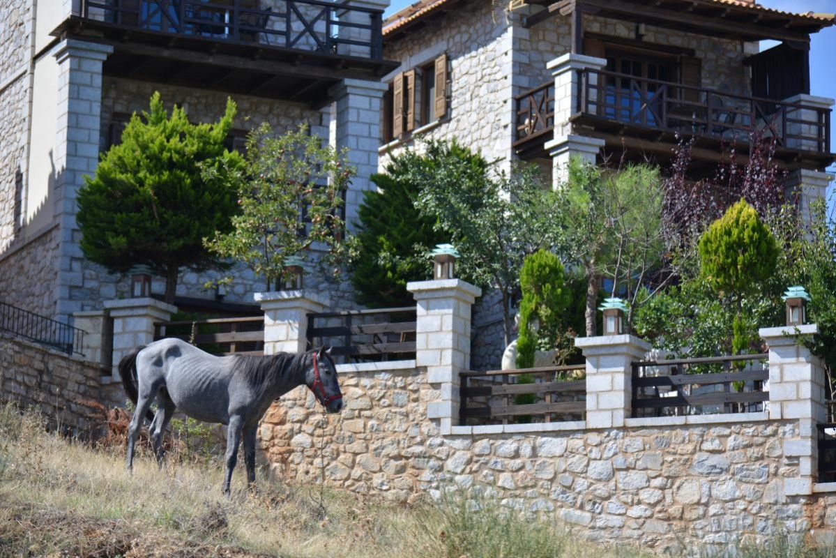 Abelos Villas, Agios Ioannis, North Kynouria, Arcadia, Peloponnese, Greece