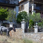 Abelos Villas, Agios Ioannis, North Kynouria, Arcadia, Peloponnese, Greece