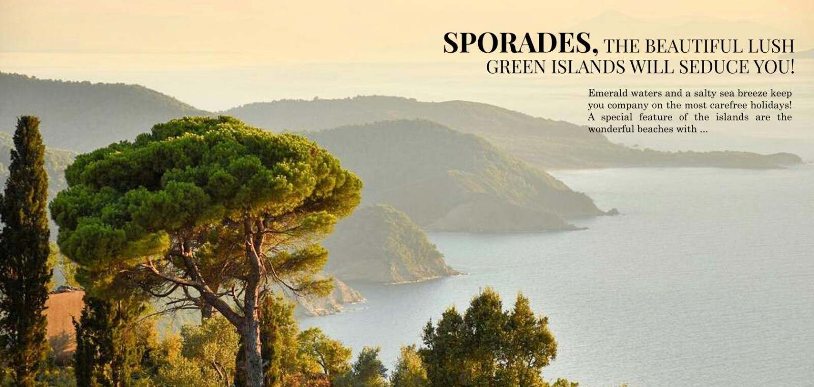 SPORADES_COLLAGE_BANNERw